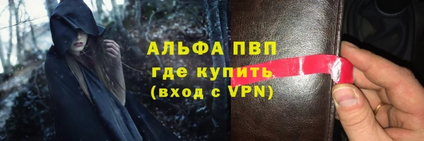 дживик Долгопрудный